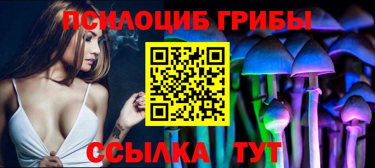 Галлюциногенные грибы Psilocybine cubensis  Вход с VPN  Асино 